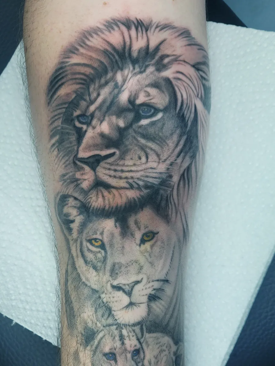 Avant-bras tatoué en noir et gris d'un lion, d'une lionne et de leurs lionceaux, réalisé par Jean-Marie Joullié au salon JMJ Tattoo à Sérignan près de Béziers