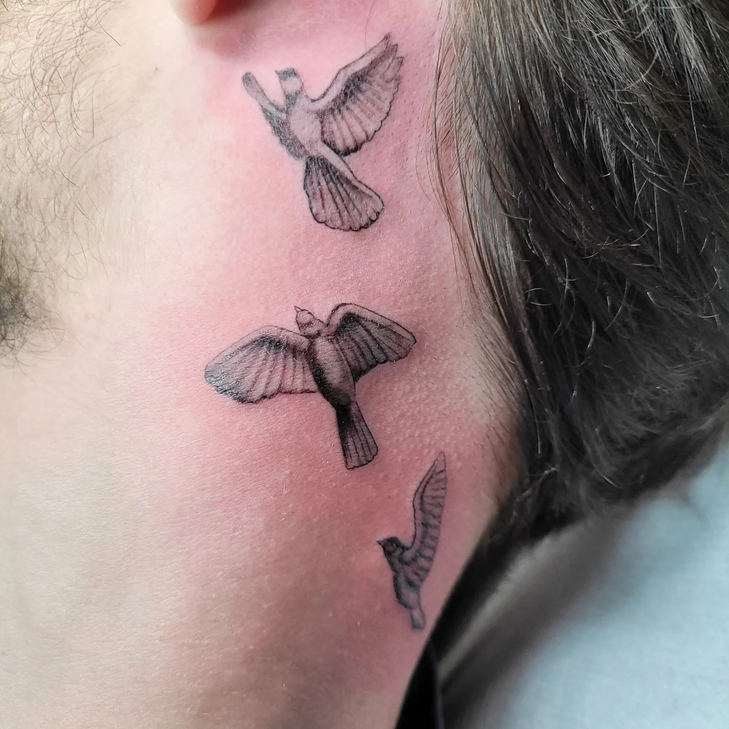Tatouage fine line de trois oiseaux en vol sur le cou, traits très fins en noir et gris, réalisé par Jean-Marie Joullié au salon JMJ Tattoo proche de Marseillan