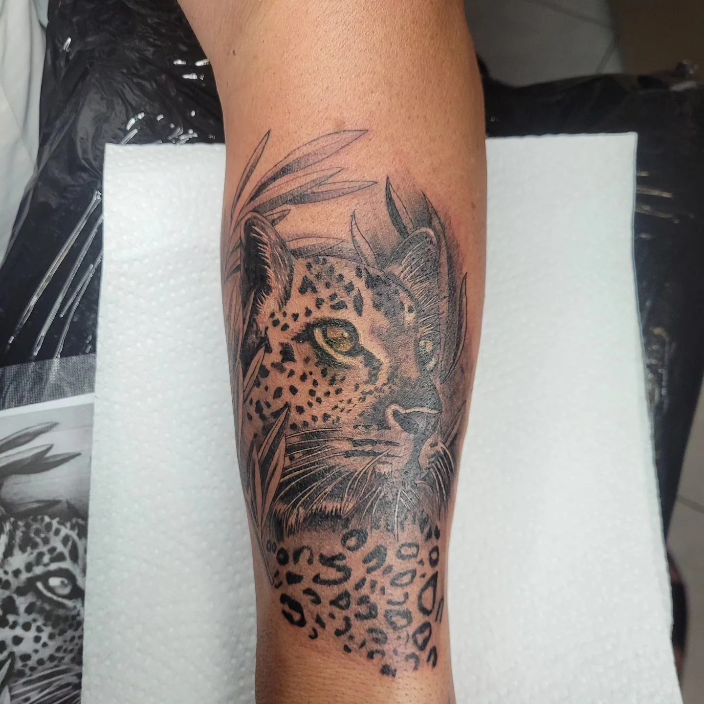 Tatouage réaliste d'un léopard au regard doré émergeant de la jungle, sur le mollet en noir et gris, réalisé par Jean-Marie Joullié au salon JMJ Tattoo proche d'Agde