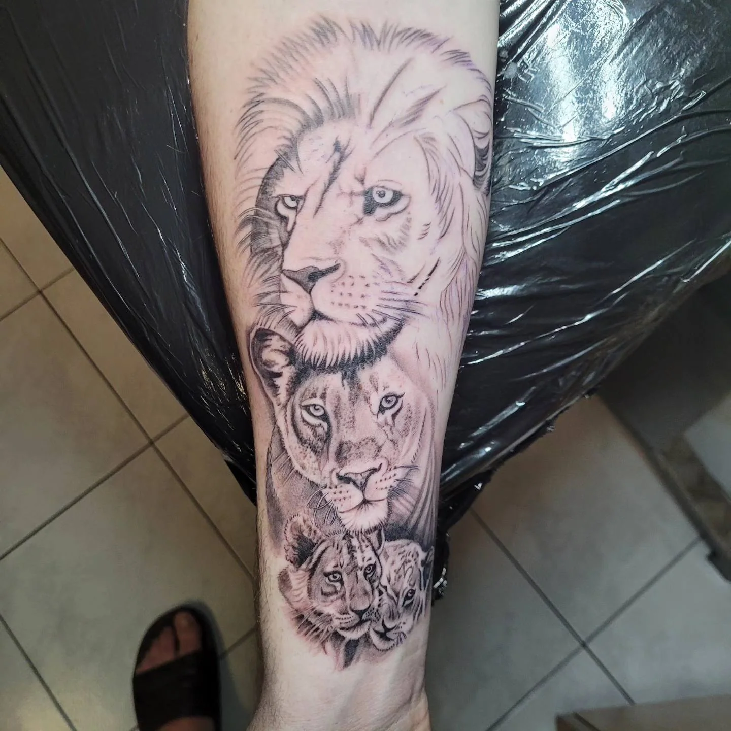 Famille de lions sur avant-bras, réalisation de Jean-Marie à son salon de Sérignan