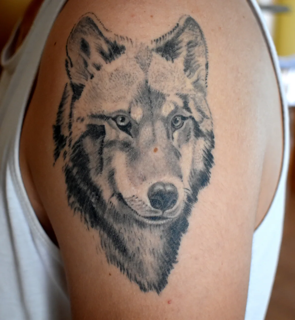 Tatouage réaliste noir et gris d'un loup au regard frontal sur l'épaule, fourrure travaillée en dégradés fins, réalisé par Jean-Marie Joullié au salon JMJ Tattoo proche de Sauvian